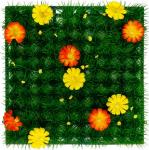 Carré gazon PVC fleurs jaunes et orange