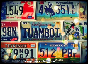 Plaques immatriculation USA