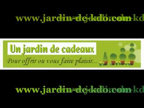 Image de prévisualisation YouTube