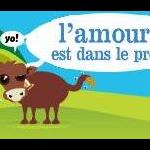 Avatar du groupe